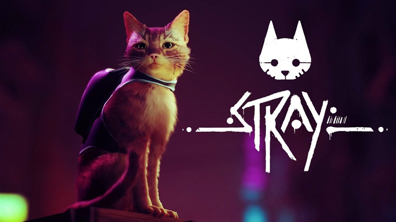 انتشار بازی Stray برای ایکس باکس