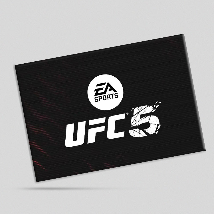 تابلو شاسی طرح EA Sports UFC 5 (ارسال رایگان)